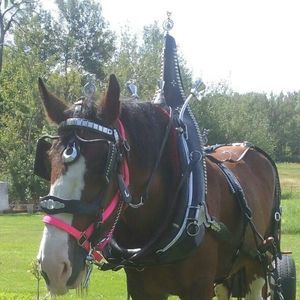 Meet your Posher, Cherri