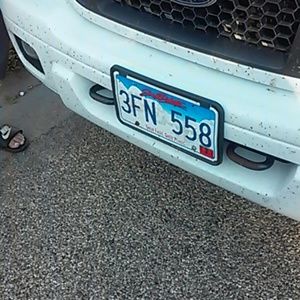 Meet your Posher, Misty