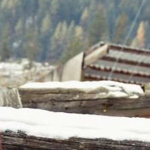 Meet your Posher, Shania