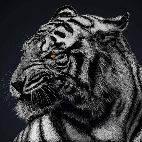 Meet your Posher, Sherrita - Picture 1 of 1