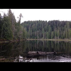 Meet your Posher, Lindsay