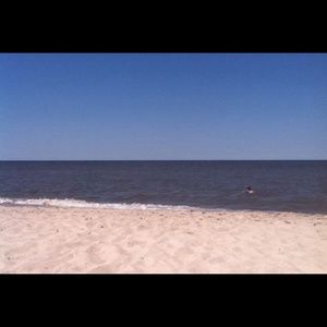 Meet your Posher, Bryanna