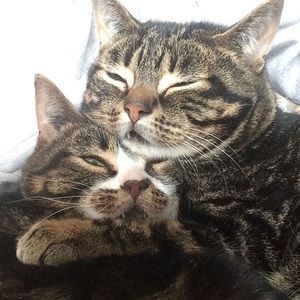 Meet your Posher, Courtney