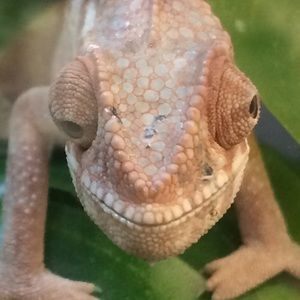 Meet your Posher, Leah