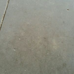 Meet your Posher, Polly