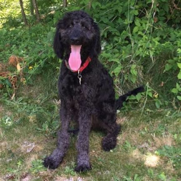 Meet your Posher, Marcy - Picture 1 of 1