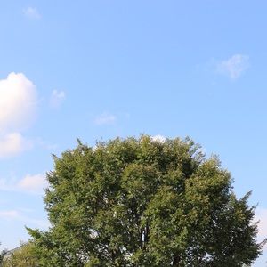 Meet your Posher, Annemarie