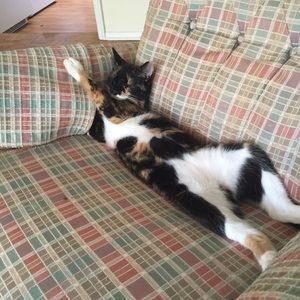 Meet your Posher, Kajsa