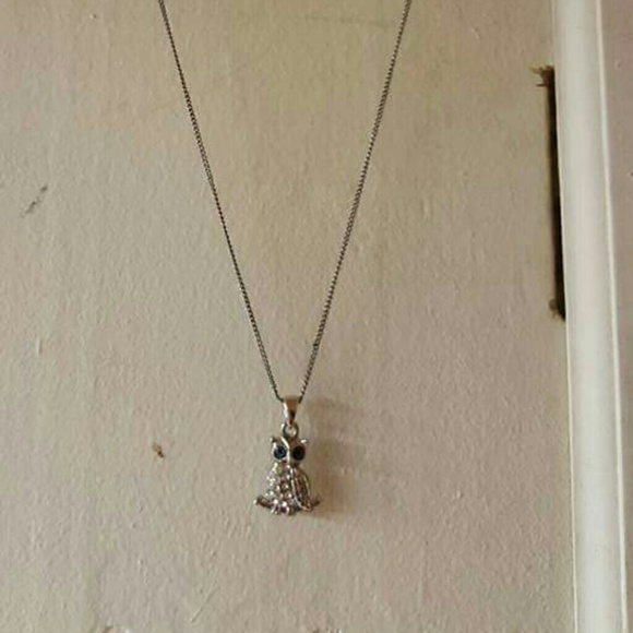 Silver owl charm necklace with blue eyes