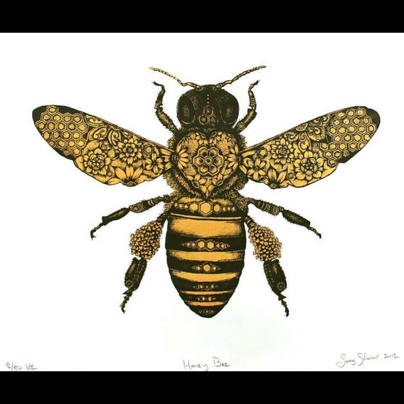 Meet your Posher, Ava - Picture 2 of 2