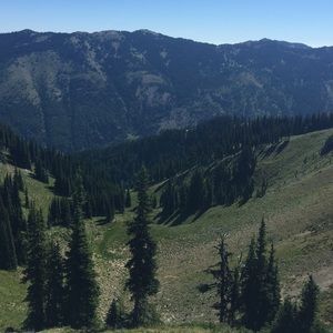 Meet your Posher, Cari