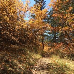 Meet your Posher, Mckenna