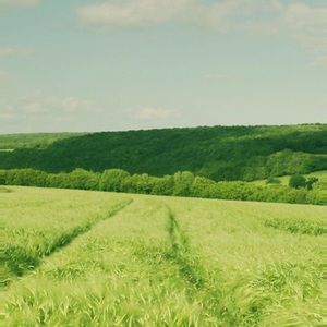 Meet your Posher, Starla