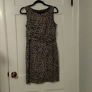 Ann taylor printed dress