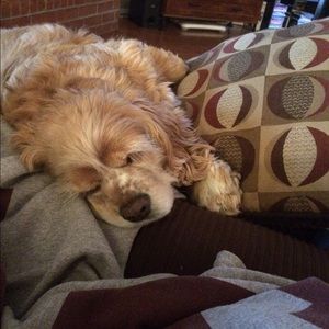 Meet your Posher, Miranda