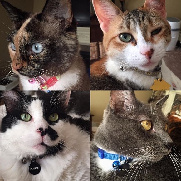 Meet your Posher, Kelley - Picture 3 of 4