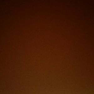 Meet your Posher, Ron