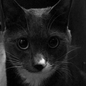 Meet your Posher, Ray