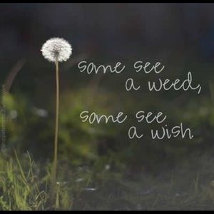 Meet your Posher, Joni