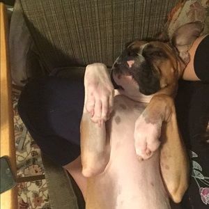 Meet your Posher, Olivia