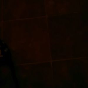 Meet your Posher, Teria