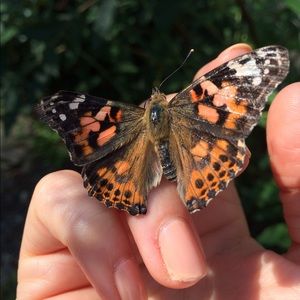 Meet your Posher, Stephanie