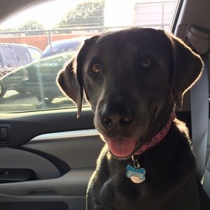 Meet your Posher, Colby