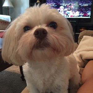 Meet your Posher, Meredith