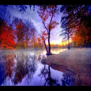 Meet your Posher, Tonya