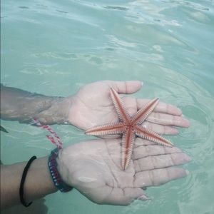 Meet your Posher, Mildred