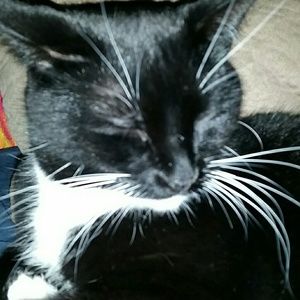 Meet your Posher, Chrissy