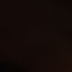 Meet your Posher, Annie