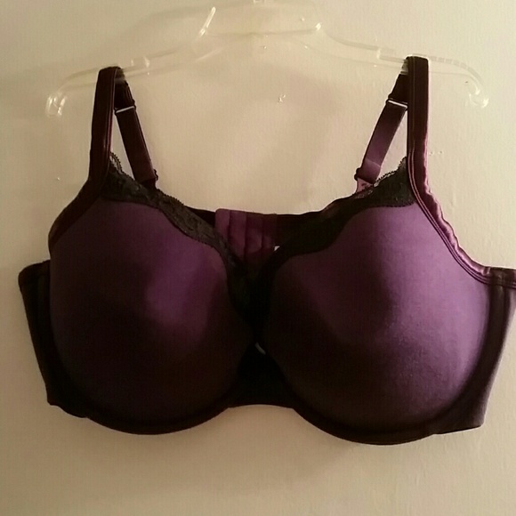 Lane Bryant's Cacique bra (The Plunge)