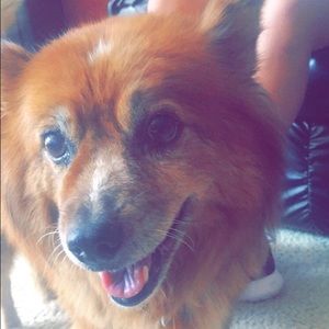 Meet your Posher, Rache