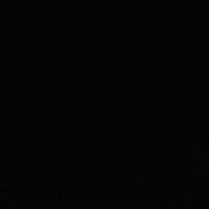 Meet your Posher, Cassidy