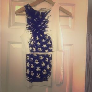 Zara pineapple tank