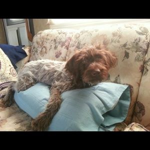 Meet your Posher, Marianne