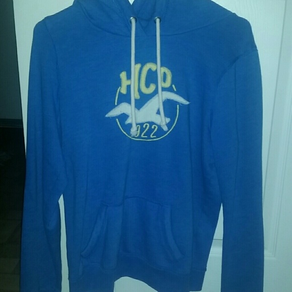 Hollister Hoodie - Picture 1 of 2