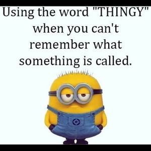 Meet your Posher, Brandy