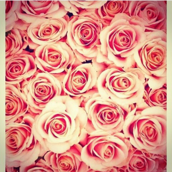 Meet your Posher, Gracie