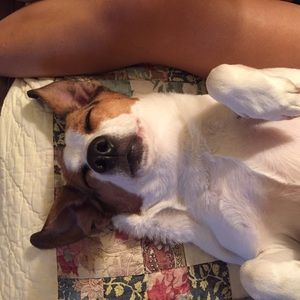 Meet your Posher, Annette