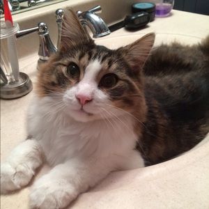 Meet your Posher, Maggie