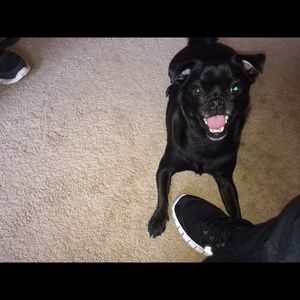 Meet your Posher, Vanessa