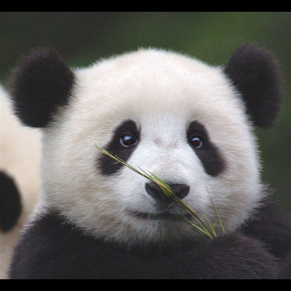 Meet your Posher, Jennifer - Picture 1 of 1