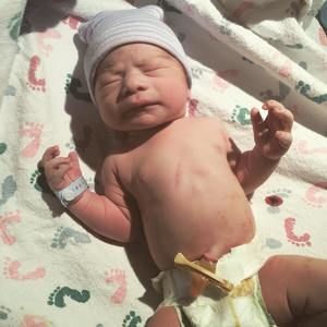 Meet your Posher, Angelo