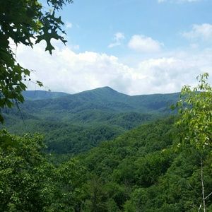 Meet your Posher, Charity