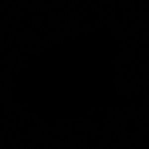 Meet your Posher, Yasmin