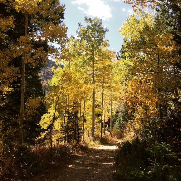 Meet your Posher, Casey