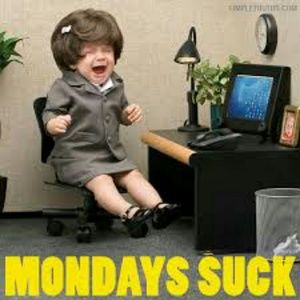 Meet your Posher, Karla