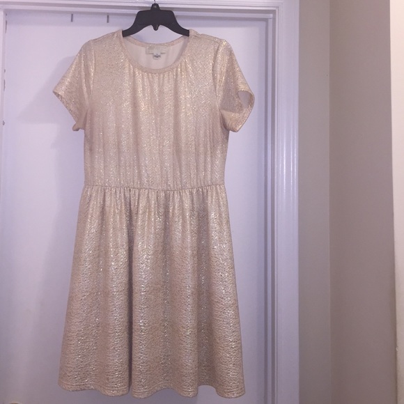 🛍ON SALE TODAY 🛍Beautiful Cream and Gold dress